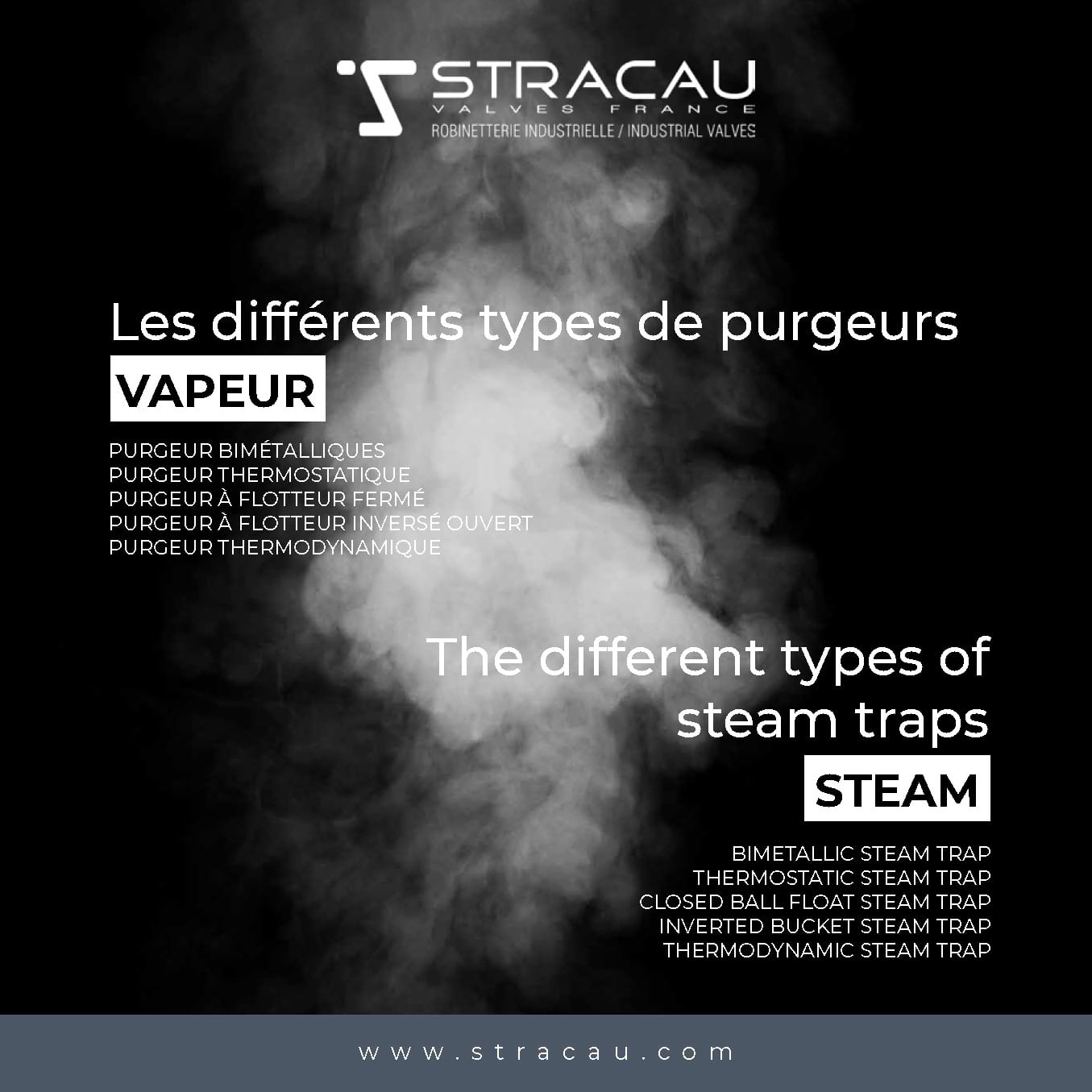 Les différents types de purgeurs VAPEUR